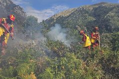 Zjarret në vend/ Ministria e Mbrojtjes: 21 vatra gjatë 24 orëve,