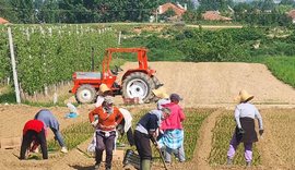 1 Maji i vërtetë: Gratë e fshatit tim