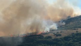 Video/ Zjarr masiv në Kudhës