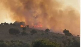 Panik në Ksamil, zjarri afrohet te hotelet