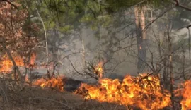 Shefi i Policisë së Delvinës plagoset rëndë gjatë