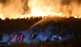 Zjarret në jug të vendit, Ministri Vengu: Ja si paraqitet situata!