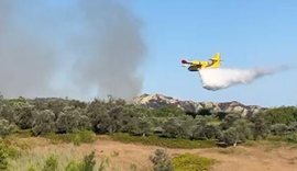 Video/ Canadair kroat dhe “Black Hawk” nga Emiratet në