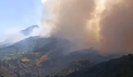 Pas sherrit me fqinjin 80-vjeçari i vuri zjarrin parcelës dhe dogji