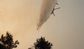 Pirro Vengu: Helikopterët dhe qindra efektivë në terren për