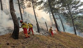 3 vatra aktive në Berat, izolohet zjarri në Parkun Kombëtar