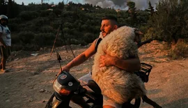 Historia që fshihet pas fotos virale të deles mbi motor!