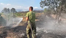 Zjarret shkatërruan fshatra të tëra, Gramshit i akordohet 3