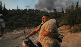 Heroi shqiptar që shpëtoi një dele në Greqi, fotoja e tij