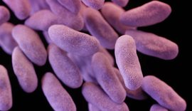 CDC: Bakteret e rrezikshme po sfidojnë edhe antibiotikët më