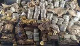 Francë/ Zhduken nga vitrina mijëra monedha ari e argjendi nga një