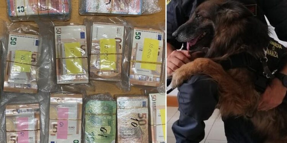 “Gringo” i Brindisit zbërthen autobusin e nisur drejt