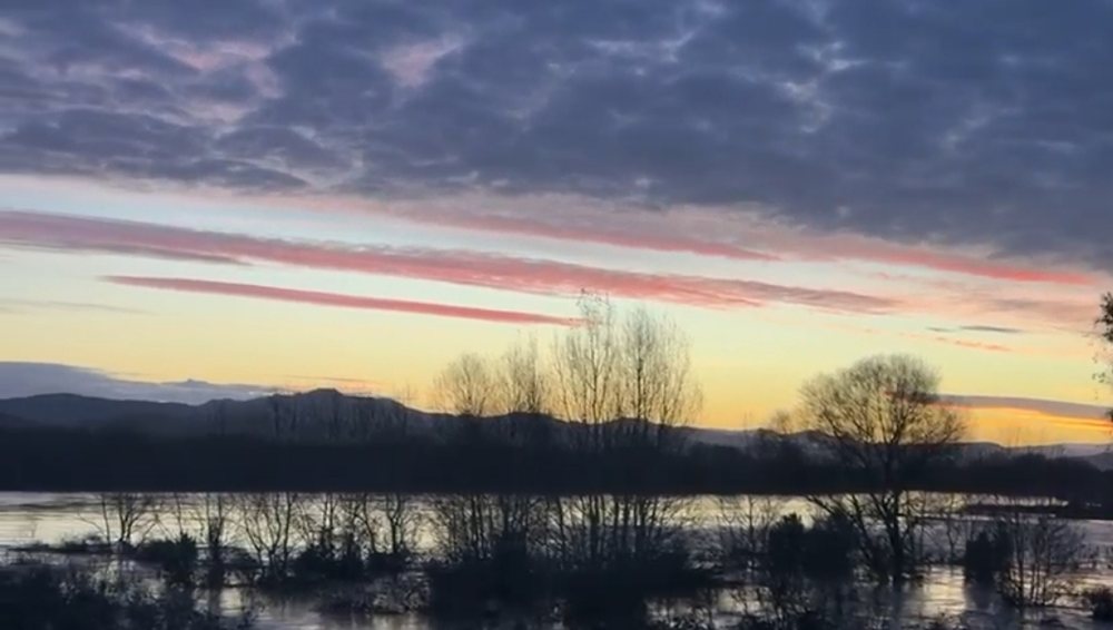 Vjosa nis t&euml; t&euml;rhiqet, Bishani zona m&euml; problematike