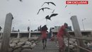 Peshkatarët trafikantë droge, CNN në Ekuador, familjarët kërkojnë të afërmit ...