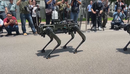  Qen robot të armatosur, Taivani kthen sytë nga teknologjia, mund të përdoren...