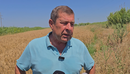 Kosto e lartë, mungesë tregu, bie ndjeshëm kultivimi i grurit në qarkun e Fie...