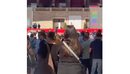 Mediat nuk lejohen, detaje nga festa e 35-vjetorit të PS-së: Do të flasë vetë...