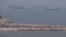 Çfarë vjen pas marrëveshjes SHBA-Iran? Cisternat e para me naftë kalojnë Ngus...