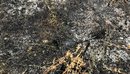 Zjarr pranë varrezave të fshatit Zenelaj në Gjirokastër