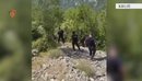 Në pranga shoku, e lajmëroi se po vinte policia, i shumëkërkuari Ylli Zalla i...