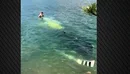 Helikopteri zjarrfikës rrëzohet në liqenin e Aoos në Greqi, shpëtojnë dy pilo...