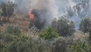 Nis “sezoni” i zjarreve, Haki Çako: Janë menaxhuar 160 vatra, duhet kujdes