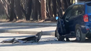Vlorë, aksident në zonën e Pyllit të Sodës. Dy të plagosura
