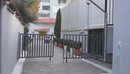 Vrasja e 14-vjeçarit Martin Cani, Apeli lë në fuqi dënimin me 16 vite burg pë...