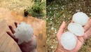  Breshër sa topi i golfit, Europa e nxehtë me mbi 40 gradë, por shi e përmbyt...