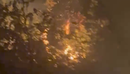 Zjarr në Gjirokastër, dy kodra marrin flakë
