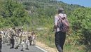 Jeta e vështirë e bariut: Djemtë ikën, gruaja thotë më lodhe. Si të ushqehem?...