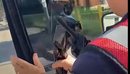 “Xhamat e errësuar pa leje do të hiqen”, Lamallari: Nuk ju bëjnë të padukshëm...
