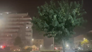 Stuhi e fortë godet Vlorën, era rrëzon pemë dhe dëmton bare e restorante