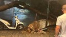 Po tentonte të rikthente energjinë elektrike gjatë orëve të stuhisë, ndërron ...