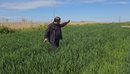Skema në bujqësi dhe blegtori, rreth 21 mijë të kualifikuar në fazën e parë t...