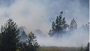 Zjarr në Voskopojë, forcat zjarrfikëse dhe Shërbimi Pyjor në terren për shuar...