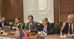 Ligji i financimit të partive, Berisha me delegacionin e “Venecias”: Nuk ka draft të rakorduar me PS