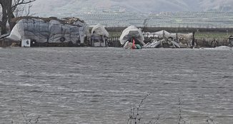 Tërbufi nën ujë. 1200 hektarë të përmbytur, ngardhin bagëtitë