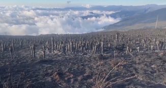 Fenomeni që po alarmon shkencëtarët. 