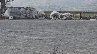 Tërbufi nën ujë. 1200 hektarë të përmbytur, ngardhin bagëtitë