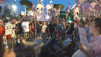 “Fitorja e parë e Flamingove”? Rama protestuesve: Ju keqinformuan për amentamendin e eurodeputetëve