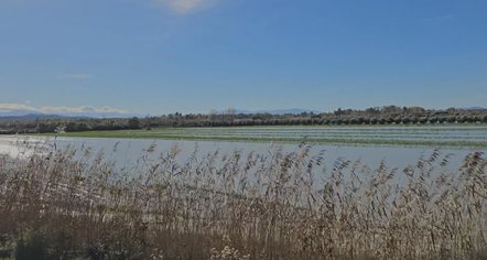 Përmbytjet në Çerven, mbi 70 hektarë tokë prej 5 ditësh nën ujë, dëmtohen të mbjellat 