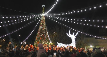 Pemë, drita apo fishekzjarrë? Festat po afrojnë, 