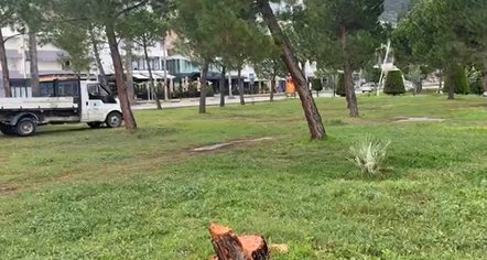 Pritet pisha në mes të natës në Lungomare, policia verifikon kamerat e sigurisë