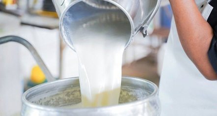 Shoqata e Blegtorëve kërkon barazimin e TVSH-së: Të rimbursohet çdo litër qumësht