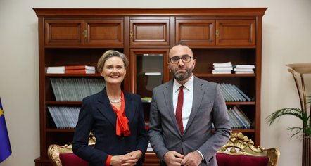 Bardhi takohet me VanHorn: Shqipëria drejtohet nga një qeveri partnere e krimit