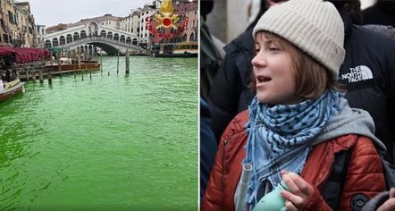 Aktivistja për mjedisin që ndoti kanalin e Venecias, nën hetim Greta Thunberg