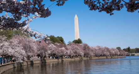 Parqet kombëtare të SHBA shtrenjtohen më shumë për të huajt