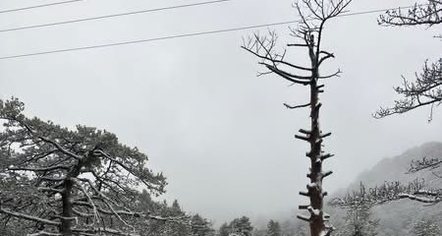 Borë dhe ngrica në Qafën e Llogarasë, bllokohet qarkullimi