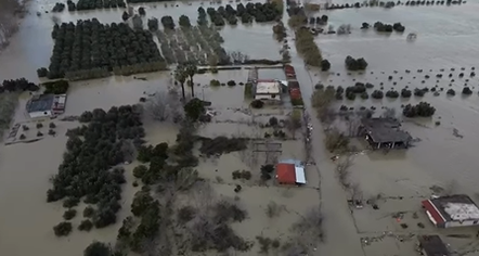 Përmbytjet në vend, reagon Delegacioni i BE në Shqipëri: Po ndajmë informacion dhe pamje satelitore me autoritetet shqiptare